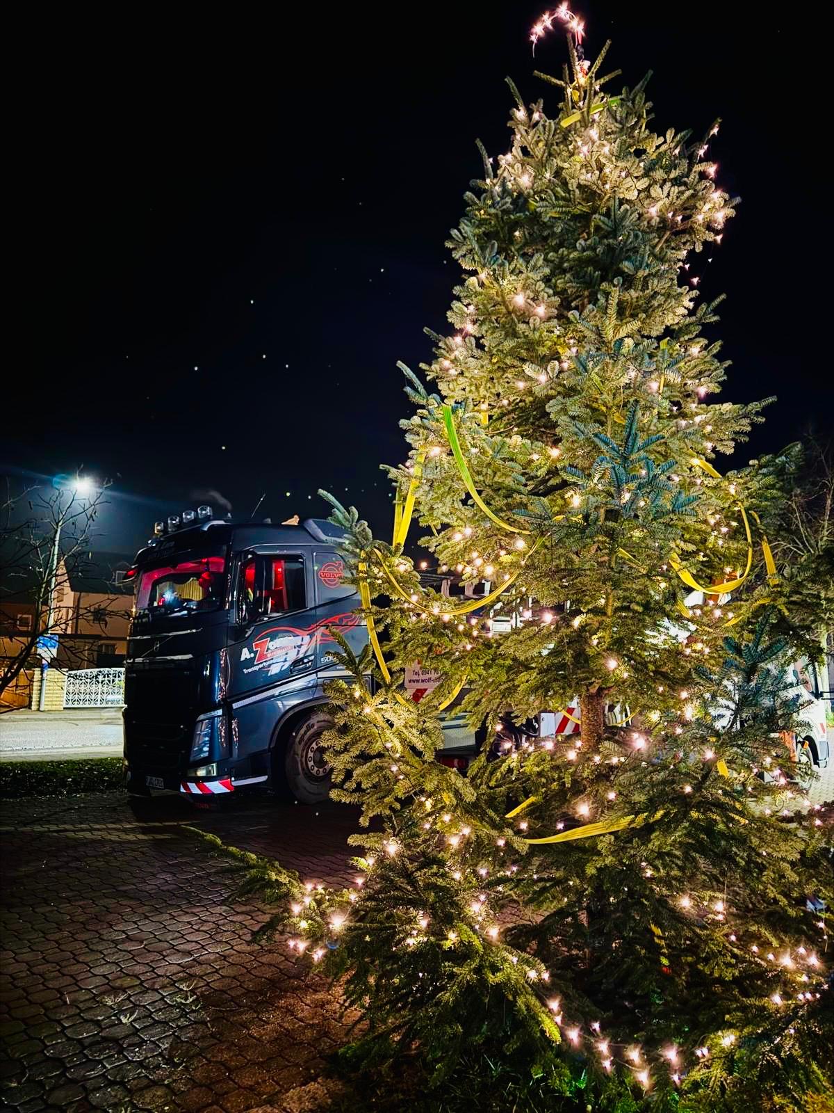 Weihnachtsbaumtransport dunkel